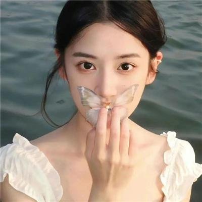 丝黛芬妮