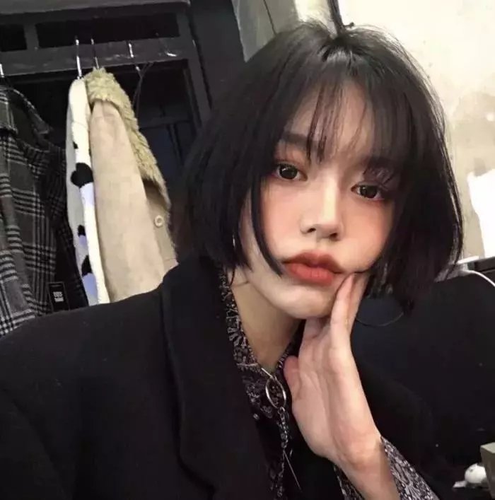 小犬与女孩